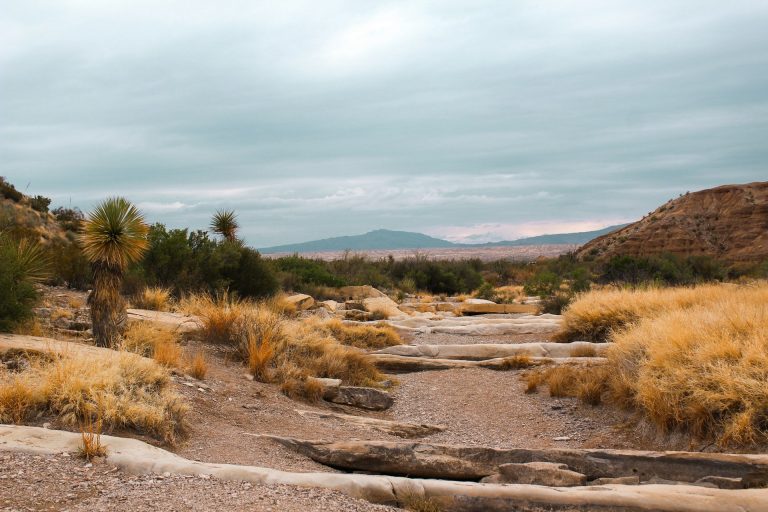 How to Plan an Unforgettable Glamping Trip to Big Bend